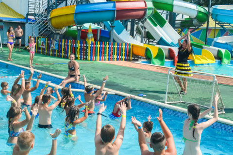 Цирк з песиками 24.07.2021