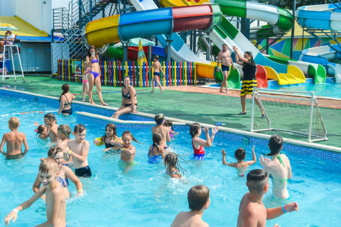 Цирк з песиками 24.07.2021