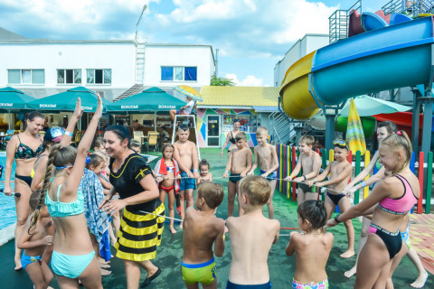 Цирк з песиками 24.07.2021