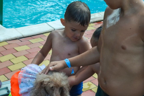 Цирк з песиками 24.07.2021