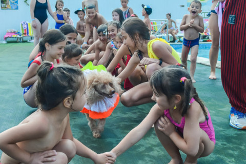 Цирк з песиками 24.07.2021