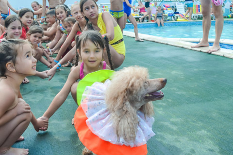 Цирк з песиками 24.07.2021