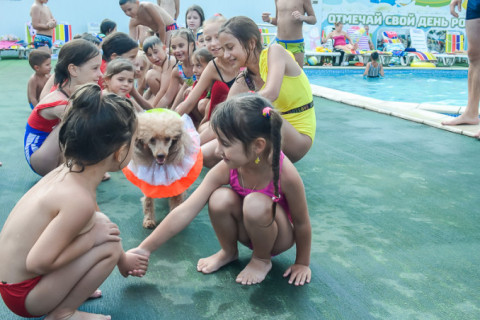 Цирк з песиками 24.07.2021