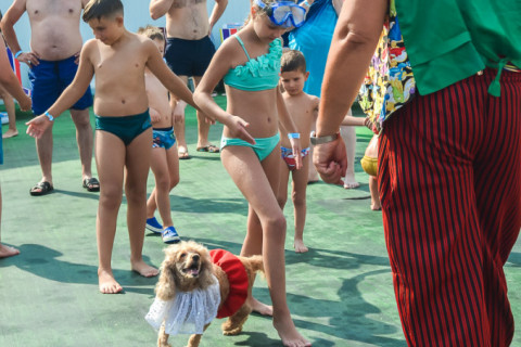 Цирк з песиками 24.07.2021