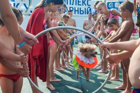 Цирк з песиками 24.07.2021