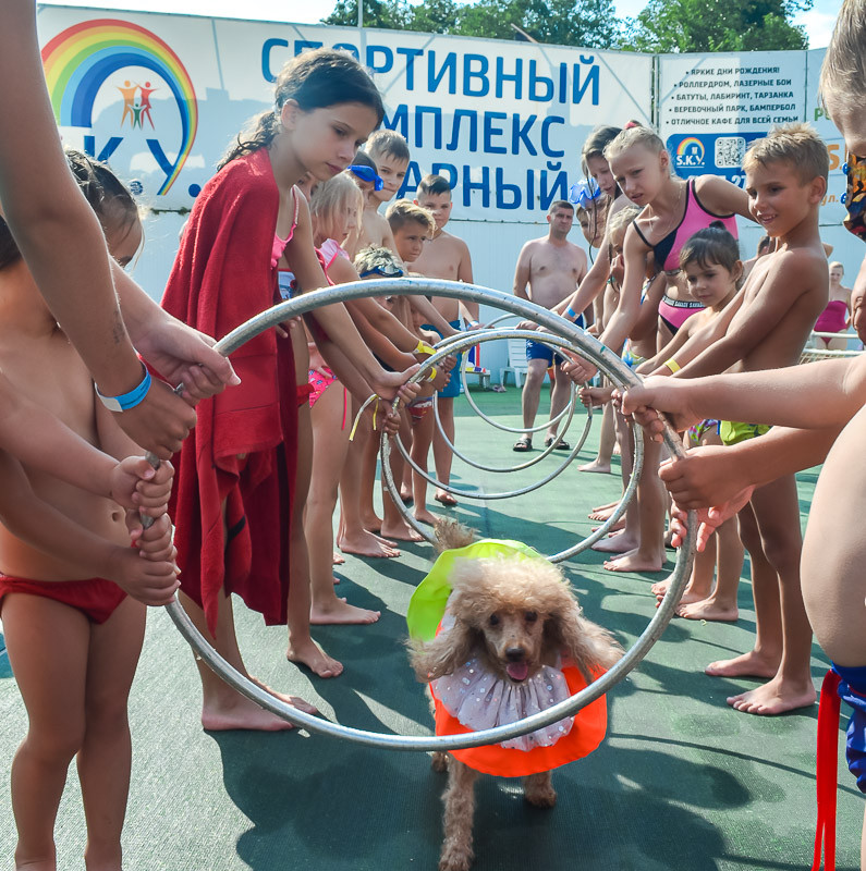 Цирк з песиками 24.07.2021