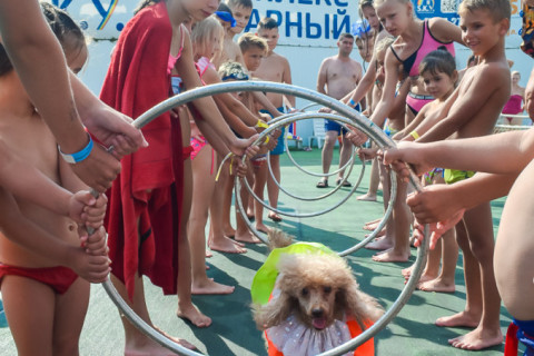 Цирк з песиками 24.07.2021