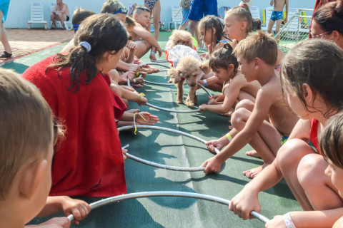 Цирк з песиками 24.07.2021