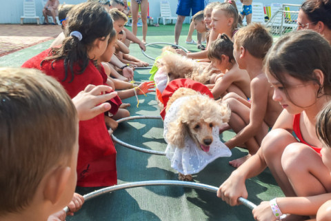 Цирк з песиками 24.07.2021