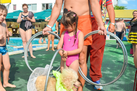 Цирк з песиками 24.07.2021