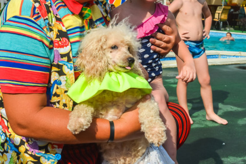 Цирк з песиками 24.07.2021