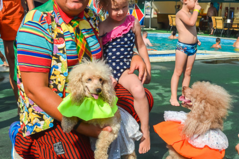 Цирк з песиками 24.07.2021