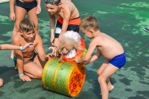 Цирк з песиками 24.07.2021