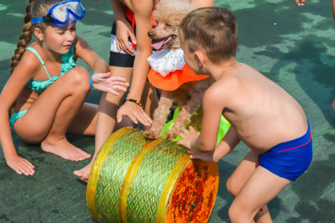 Цирк з песиками 24.07.2021