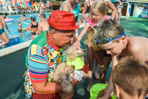 Цирк з песиками 24.07.2021