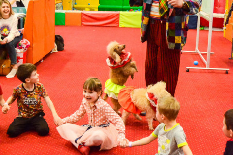 Анімація з Тедді, імениники 22.01.2022