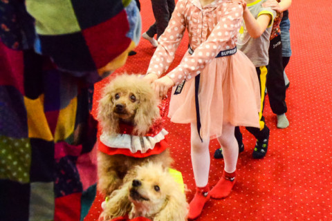 Анімація з Тедді, імениники 22.01.2022