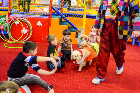 Анімація з Тедді, імениники 22.01.2022