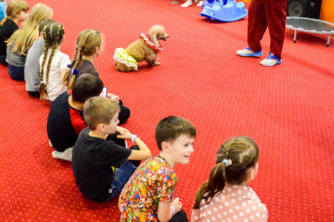 Анімація з Тедді, імениники 22.01.2022