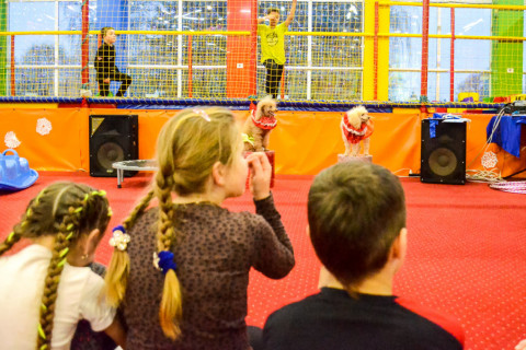 Анімація з Тедді, імениники 22.01.2022