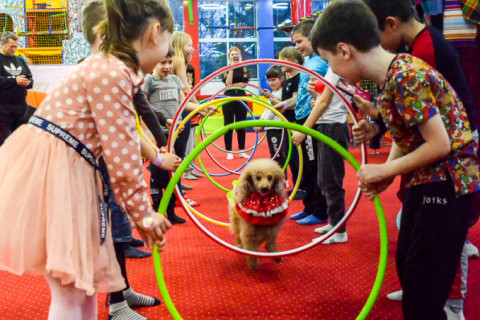 Анімація з Тедді, імениники 22.01.2022