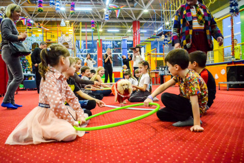 Анімація з Тедді, імениники 22.01.2022