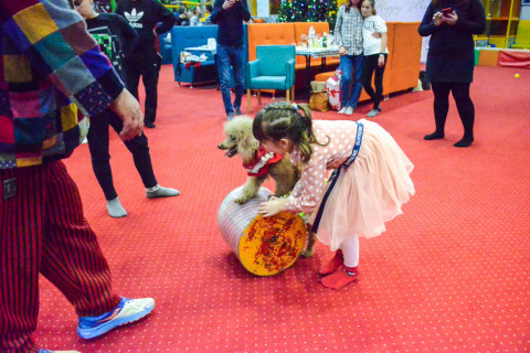 Анімація з Тедді, імениники 22.01.2022