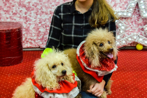 Анімація з Тедді, імениники 22.01.2022