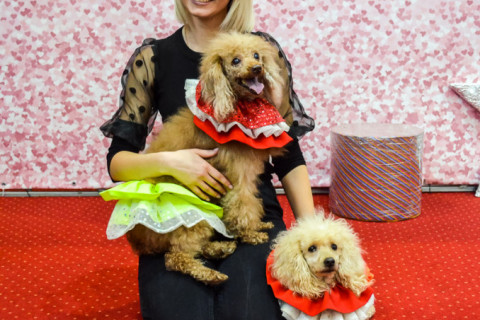 Анімація з Тедді, імениники 22.01.2022