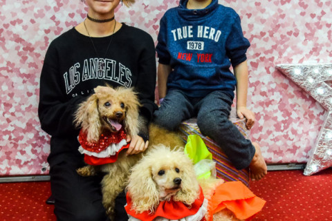 Анімація з Тедді, імениники 22.01.2022