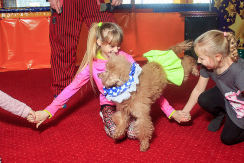 СКАЙ благодійний захід, грудень 22