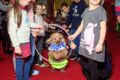 СКАЙ благодійний захід, грудень 22