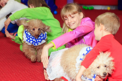 СКАЙ благодійний захід, грудень 22