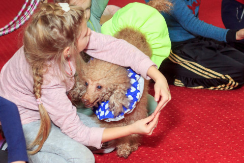 СКАЙ благодійний захід, грудень 22