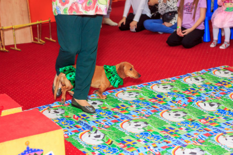 Святий Миколай 06.12.2023