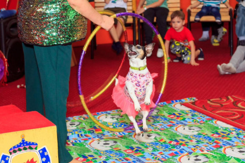 Піжамна вечірка